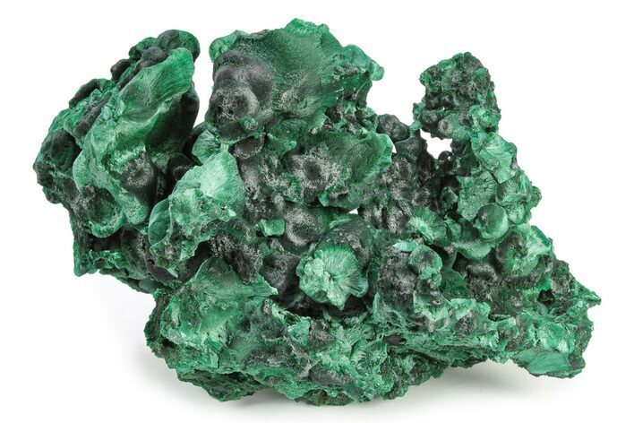 Silky, Fibrous Malachite Cluster - Congo #250617